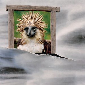 Botanisch-Stille blik