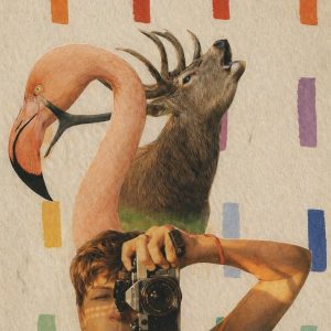 Botanisch- kijken met aandacht