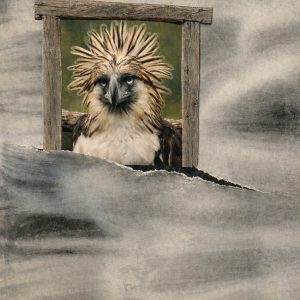 Botanisch-Stille blik