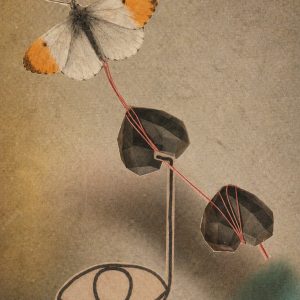 Surrealistisch-Zien zonder woorden